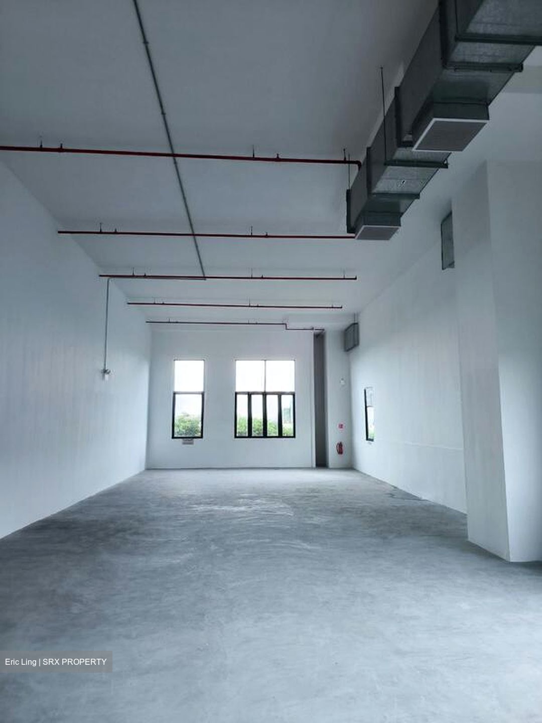 Mauser Singapore (D22), Factory #498081501